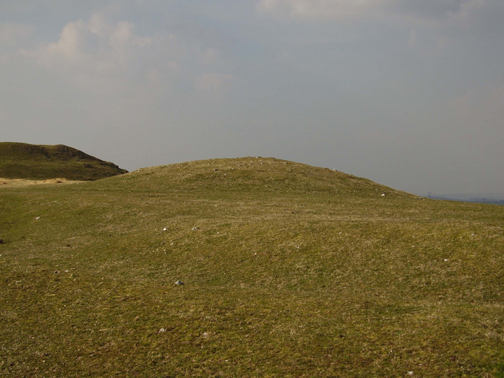 Image of Bronkham Hill (Barrow / Cairn Cemetery) by formicaant