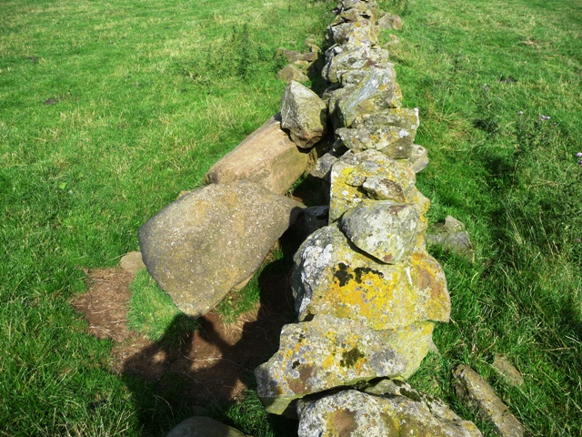Image of Kemps Cairn (Cist) by drewbhoy