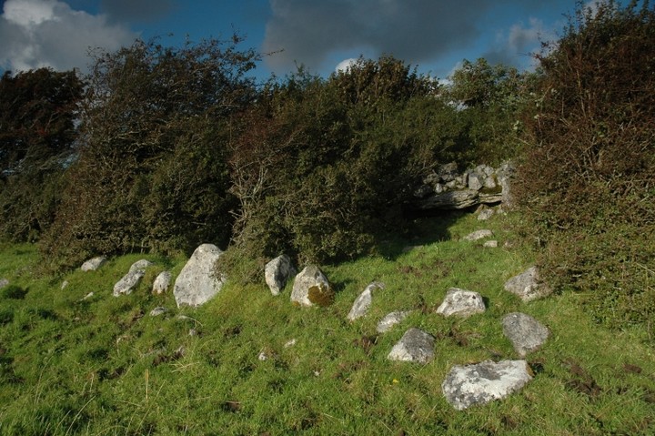 Image of Moheramoylan (Cl. 30) (Wedge Tomb) by ryaner
