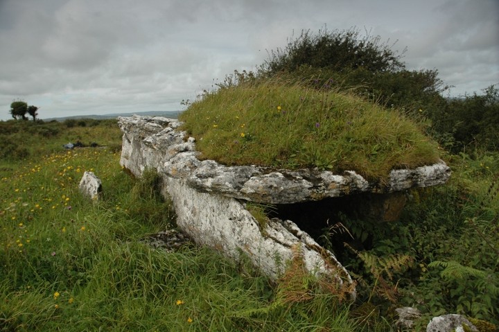 Image of Parknabinnia (Cl. 61) (Wedge Tomb) by ryaner