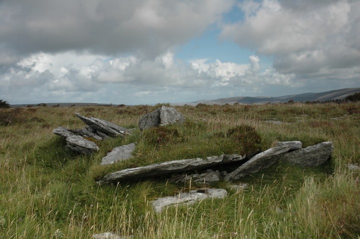 Image of Faunarooska (Cl. 4) (Wedge Tomb) by ryaner