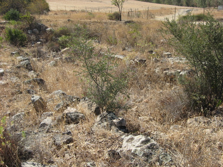 Image of Is Cuccuredus (Sanctuary) by shardannu