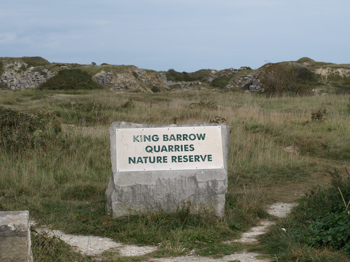 Image of King Barrow (Round Barrow) by formicaant