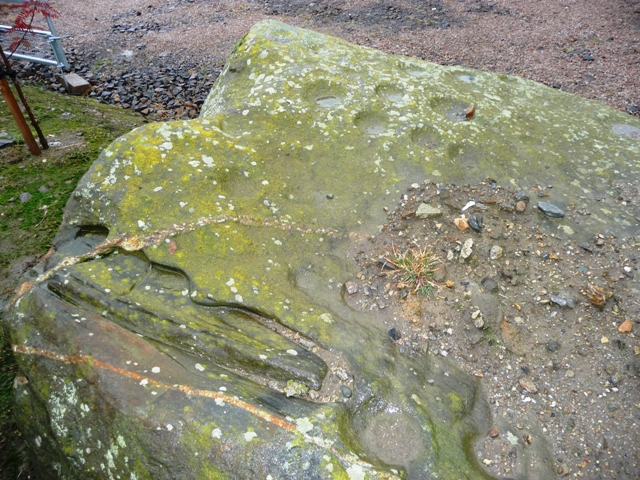 Image of Corskellie (Cup and Ring Marks / Rock Art) by drewbhoy