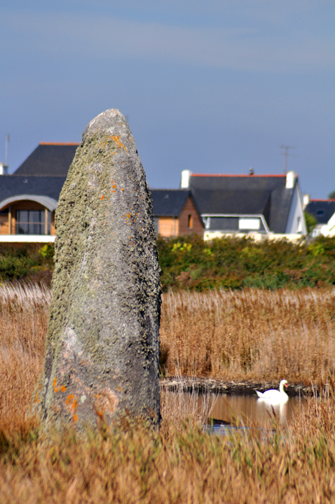 Image of Lehan (Standing Stone / Menhir) by Jane