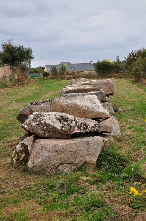 Image of Melus (Allee-Couverte) by Moth