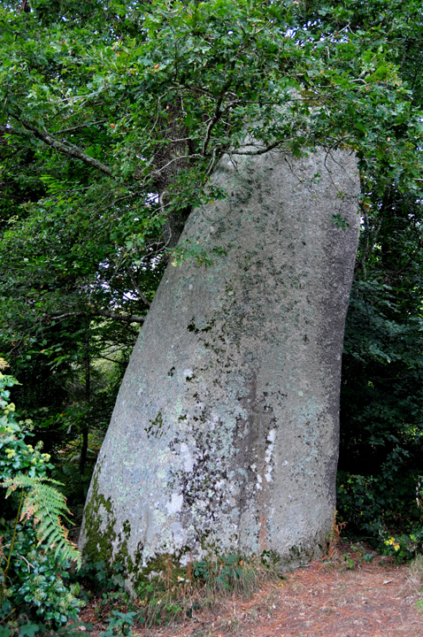 Image of Kerangosquer (Standing Stone / Menhir) by Moth