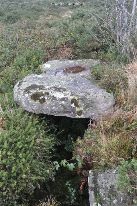 Image of Corderry (Wedge Tomb) by bogman