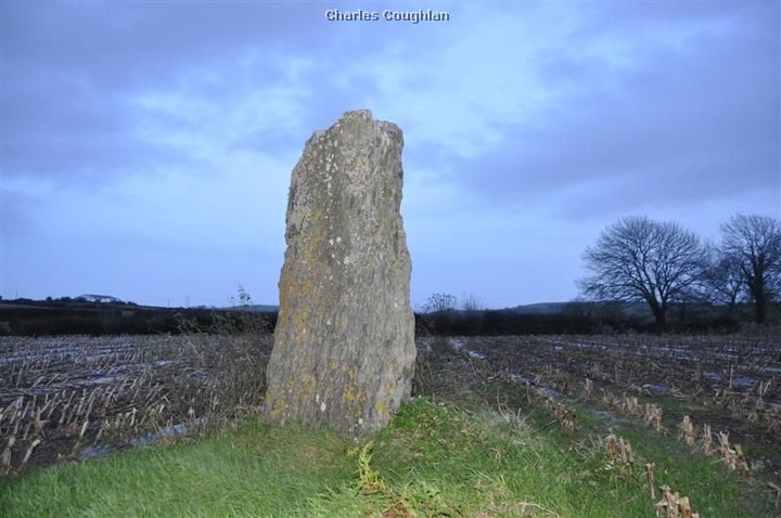 Image of Corravreeda (Standing Stone / Menhir) by bogman