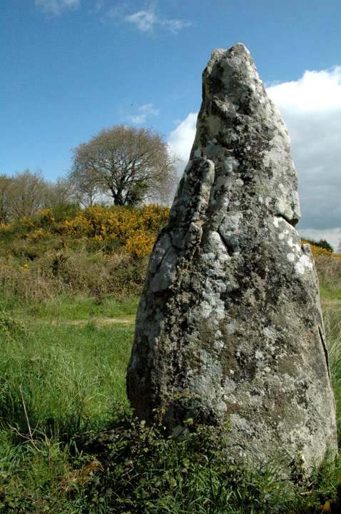 Image of Tumulus du Moustoir (Tumulus (France and Brittany)) by Moth