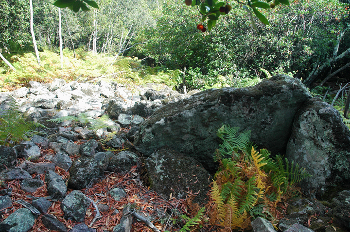 Image of Dolmen de l’Olivier by Moth
