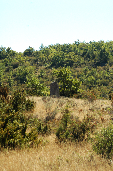 Image of Menhir de Serre de la Gleisa by Moth