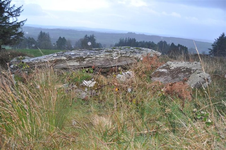 Image of Lackaduv (Wedge Tomb) by bogman
