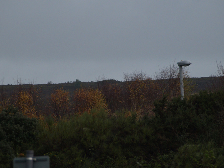Image of Canford Heath (Barrow / Cairn Cemetery) by formicaant