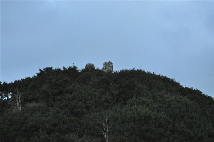 Image of Shanralagh (Standing Stones) by bogman