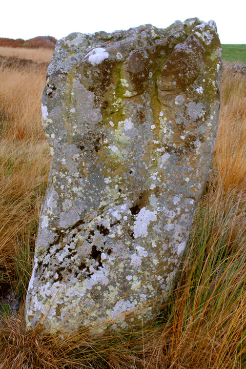 Image of Doddington Stone Circle by border-glider