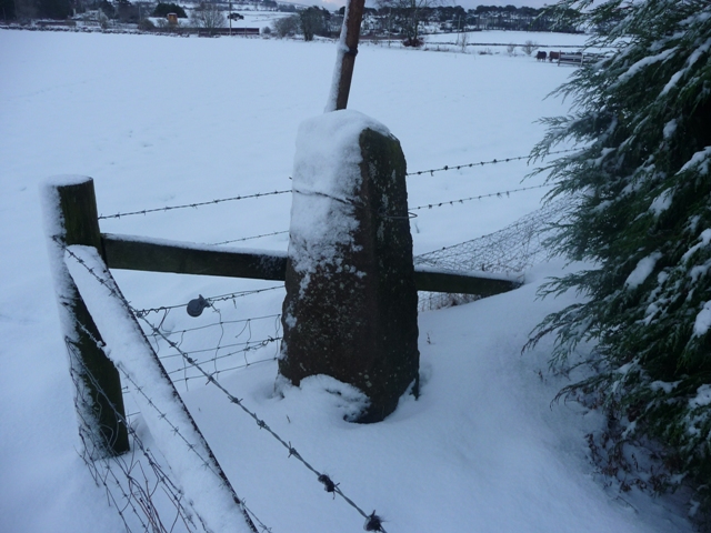 Image of Little Clinterty (Standing Stone / Menhir) by drewbhoy