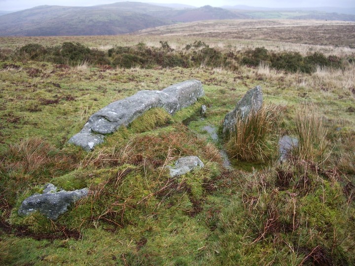 Image of Holne Moor Triple Row (Stone Row / Alignment) by Billy Fear