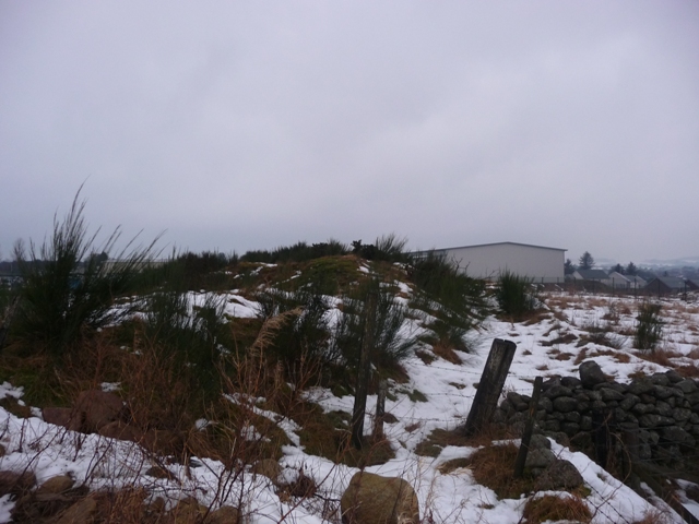 Image of Midmill (Long Cairn) by drewbhoy