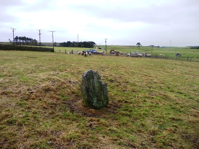 Image of Ferneybrae (Standing Stone / Menhir) by drewbhoy