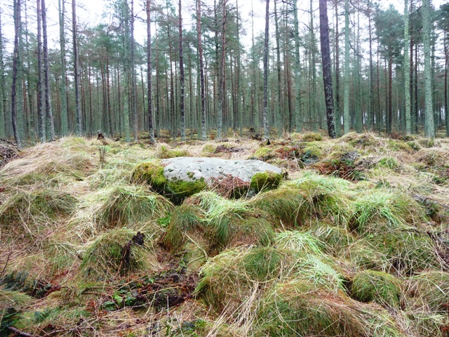 Image of Hillhead Of Suttie (Cairn(s)) by drewbhoy