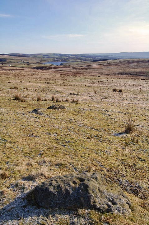 Image of Middleton Moor 435 (Cup and Ring Marks / Rock Art) by fitzcoraldo