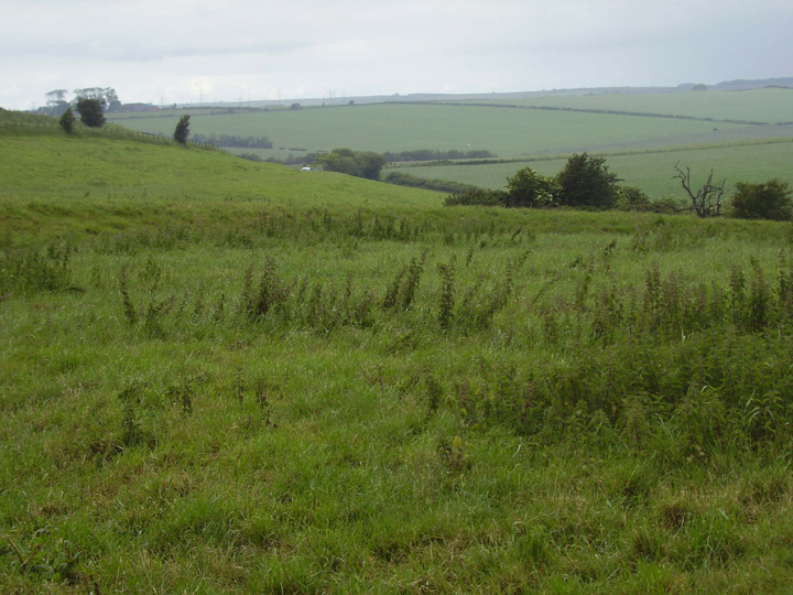 Image of Gould’s Hill Barrows by formicaant