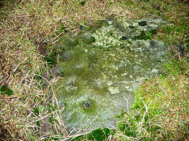 Image of New Craig (Cup and Ring Marks / Rock Art) by drewbhoy