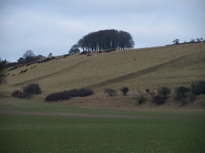 Image of Grimstone Down (Ancient Village / Settlement / Misc. Earthwork) by formicaant
