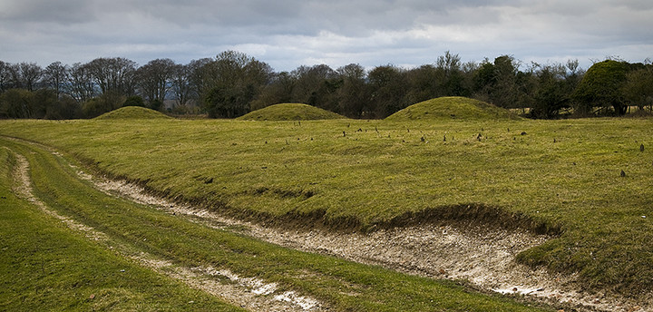 Image of Badbury Rings Barrows by A R Cane