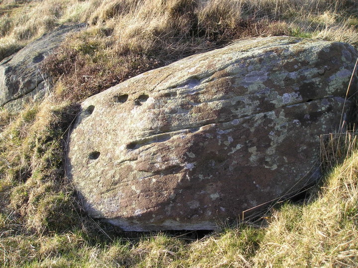 Image of Hill of Prieston (Cup and Ring Marks / Rock Art) by tiompan