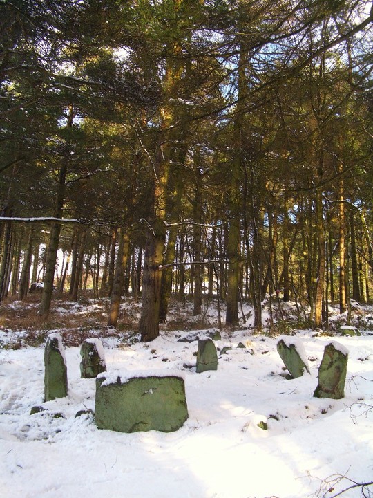 Image of Doll Tor (Stone Circle) by faerygirl
