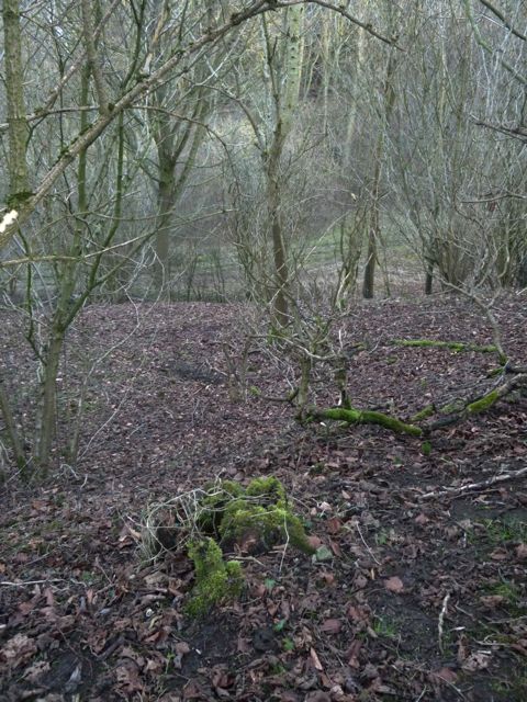 Image of Hardwell Camp (Hillfort) by stoer