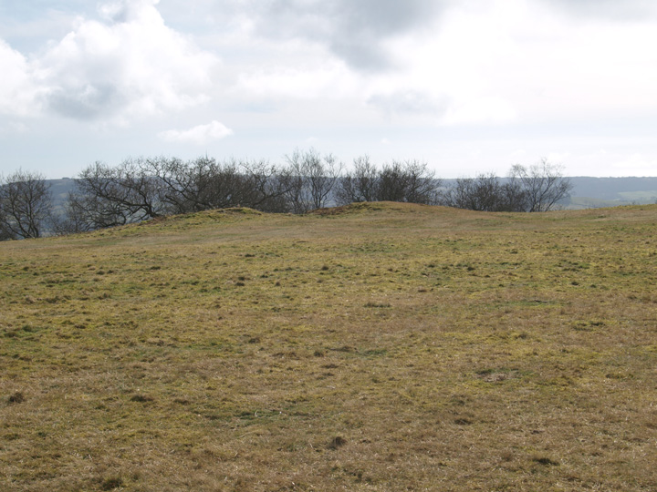 Image of Lambert’s Castle (Hillfort) by formicaant
