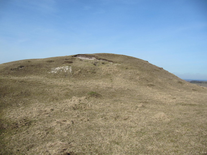 Image of Cherhill Down and Oldbury (Hillfort) by tjj