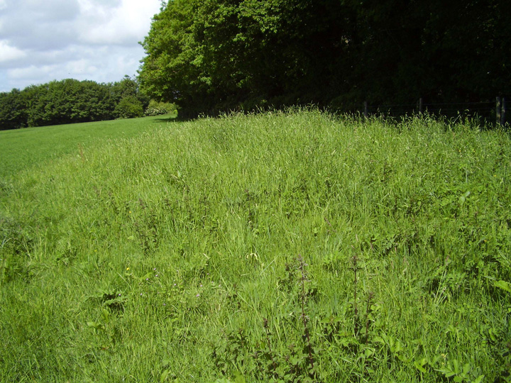 Image of Deverel Barrow (Round Barrow) by formicaant