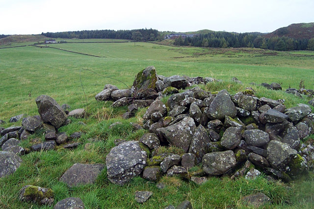 Image of Dunamuck (Stone Row / Alignment) by IronMan