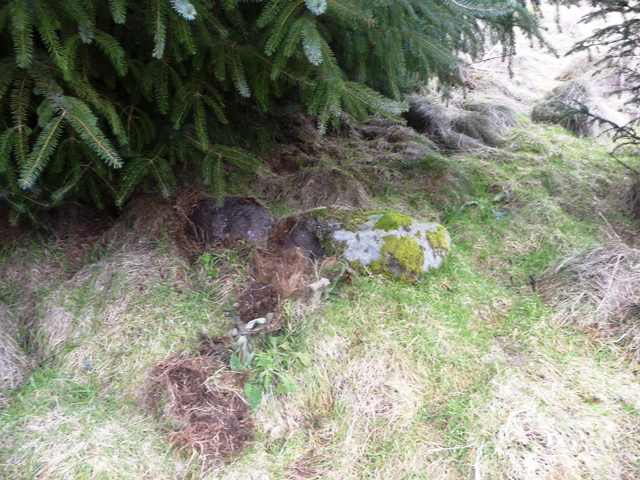 Image of Den Of Howie (Kerbed Cairn) by drewbhoy