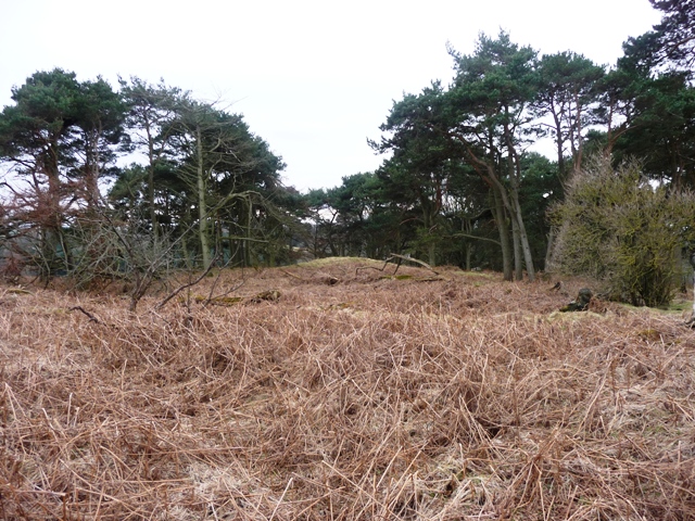 Image of East Kinharrachie (Cairn(s)) by drewbhoy