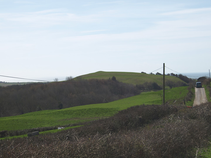 Image of Hammiton Hill (Round Barrow(s)) by formicaant