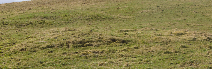 Image of The Brecks (Cairn(s)) by wideford