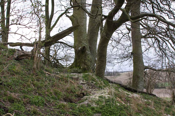 Image of East Kennett Long Barrow by photobabe