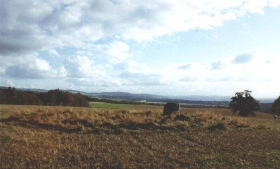 Image of Colen Wood Stone Circle by nickbrand