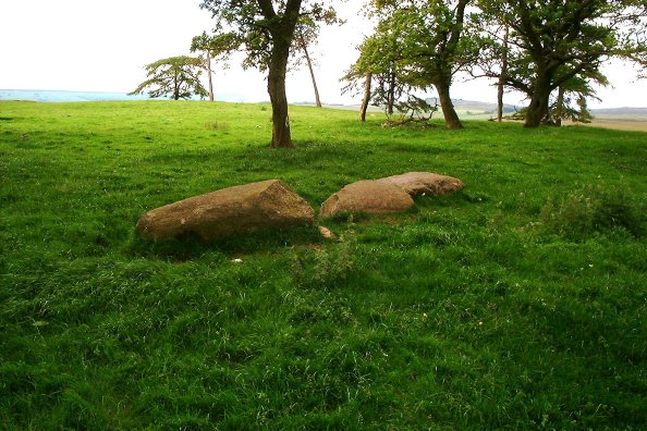 Image of Park Neuk (Stone Circle) by nickbrand