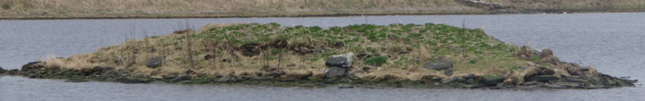 Image of Voy (Crannog) by wideford