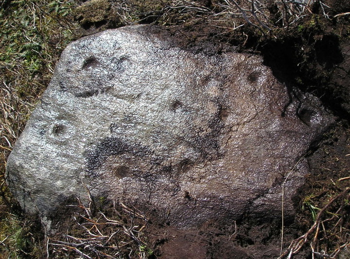 Image of Craig Hill (Cup and Ring Marks / Rock Art) by tiompan