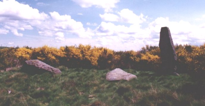 Image of Pitmudie Stone Row by nickbrand