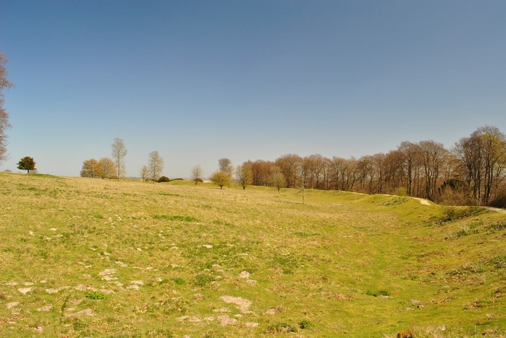Image of Danebury (Hillfort) by ginger tt