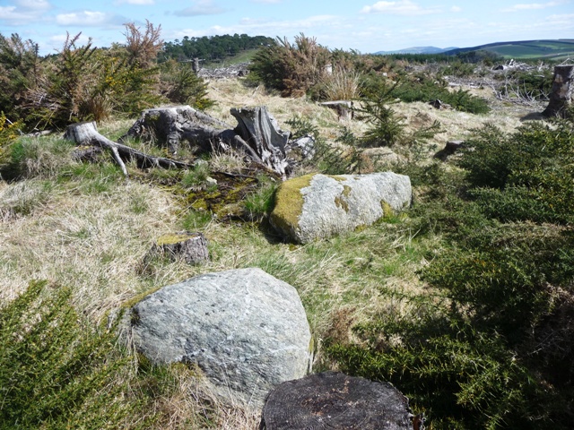 Image of Ten Rood Wood (Cairn(s)) by drewbhoy