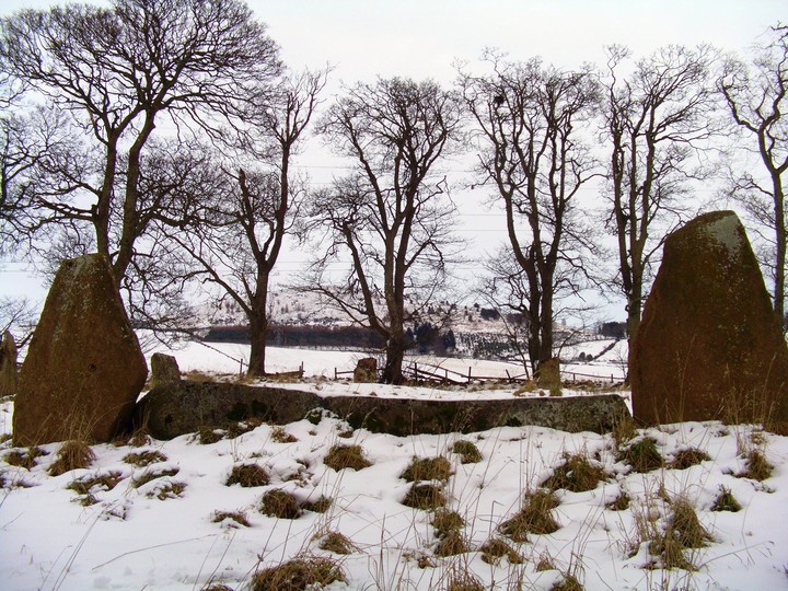 Image of Sunhoney (Stone Circle) by faerygirl